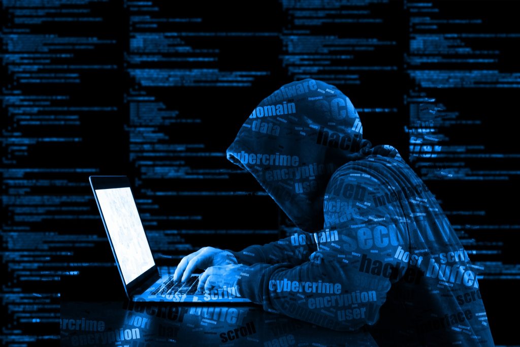 a blue hacker in Cyber Crime and Cyber Security