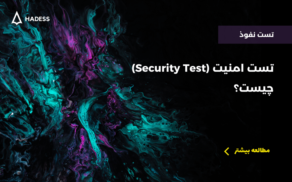 ?what is a security test