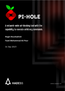 Pi-hole Attack Surface EBook